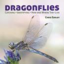Image for Dragonflies : Hunting - Identifying - How and Where They Live