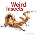 Image for Weird Insects