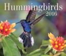 Image for Hummingbirds 2016