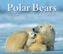 Image for Polar Bears 2016 Calendar