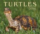 Image for Turtles 2016 Calendar