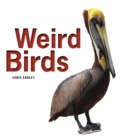 Image for Weird Birds
