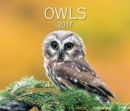 Image for Owls 2017