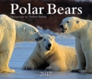 Image for Polar Bears 2017