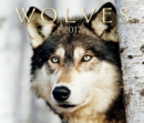 Image for Wolves 2017