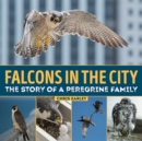 Image for Falcons in the city  : the story of a Peregrine family