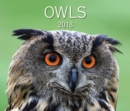 Image for Owls 2018