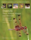 Image for Insects  : their natural history and diversity
