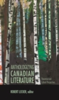 Image for Anthologizing Canadian literature  : theoretical &amp; cultural perspectives