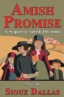 Image for Amish Promise