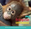 Image for Orangutan Orphanage