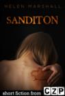 Image for Sanditon: Short Story