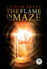 Image for The Flame in the Maze