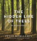 Image for The hidden life of trees