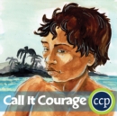 Image for Call It Courage (Armstrong Sperry): A State Standards-Aligned Literature Kit(TM)