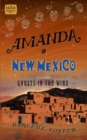 Image for Amanda in New Mexico: ghosts in the wind