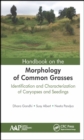 Image for Handbook on the morphology of common grasses: identification and characterization of caryopses and seedlings