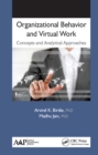 Image for Organizational behavior and virtual work