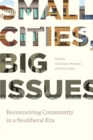 Image for Small Cities, Big Issues