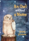 Image for An Owl without a Name