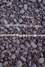 Image for Numinous Seditions