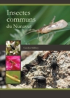Image for Insectes communs du Nunavut