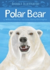 Image for Animals Illustrated: Polar Bear