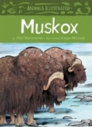 Image for Animals Illustrated: Muskox