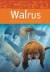Image for Animals Illustrated: Walrus