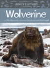 Image for Animals Illustrated: Wolverine