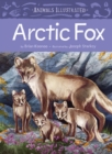 Image for Animals Illustrated: Arctic Fox