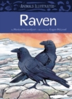 Image for Animals Illustrated: Raven