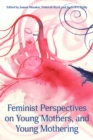 Image for Feminist Perspectives on Young Mothers and Young Mothering