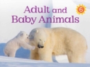 Image for Adult and Baby Animals : English Edition