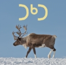 Image for The Caribou (Inuktitut)