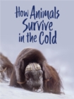 Image for How Animals Survive in the Cold : English Edition