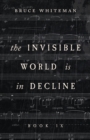 Image for The Invisible World Is In Decline Book Ix