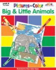 Image for Pictures to Color: Big &amp; Little Animals