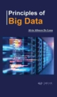 Image for Principles of Big Data