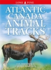 Image for Atlantic Canada Animal Tracks