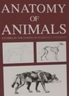 Image for Anatomy of Animals: Studies in the Forms of Mammals and Birds