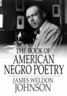 Image for The Book of American Negro Poetry