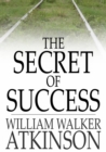 Image for The Secret of Success