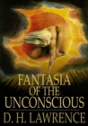 Image for Fantasia of the Unconscious