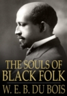 Image for The Souls of Black Folk: Essays and Sketches
