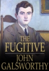Image for The Fugitive