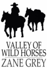 Image for Valley of Wild Horses