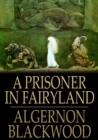 Image for A Prisoner in Fairyland