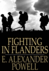 Image for Fighting In Flanders