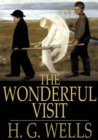 Image for The Wonderful Visit